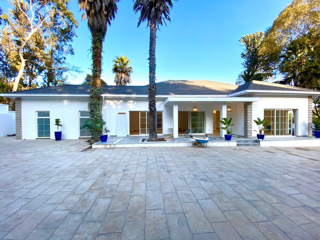 Single storey white villa with glazed front and patio - Zealcon